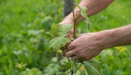 Wie Gebote deinen Alltag lebendig machen können – Ernährung, Erziehung und Beziehungen