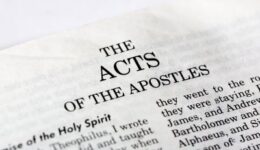A macro detail of the book of Acts