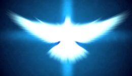 shining dove with rays on a dark