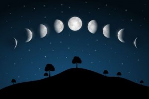 Moon Phases - Night Landscape with Trees