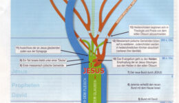Der Bund mit Israel und der edle Ölbaum