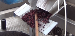 production-of-olive-oil