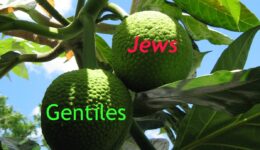 Jews-and-Gentiles