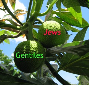 Jews-and-Gentiles