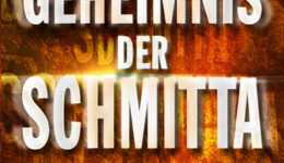 The_Shemitah_Cover_CS4_25mm