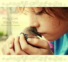 images