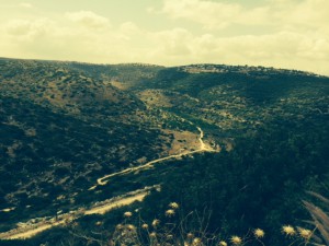 Foto Israel 4