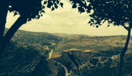 Foto Israel 5