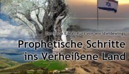 ProphetischeSchritte