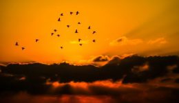 sky