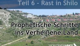 Rast in Shilo