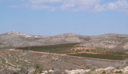 Shomron1