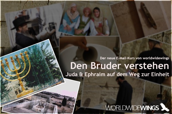 Den Bruder verstehen