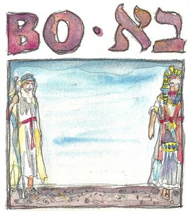 Bo - Zeichnung