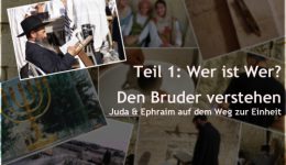 Den Bruder verstehen Teil1