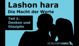 01 Titelbild