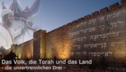 die unzertrennlichen Drei