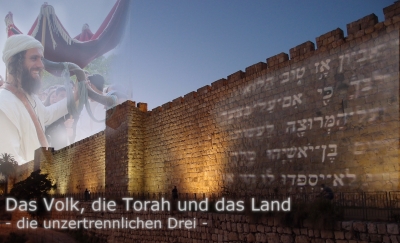 die unzertrennlichen Drei