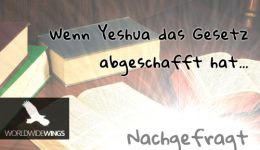 nachgefragt1