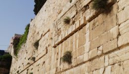 Westernwall