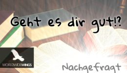 nachgefragt44
