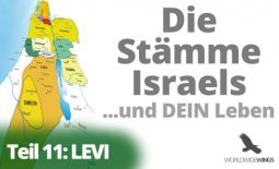 Levi