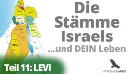 Levi