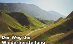 wegwiederherstellung_klein