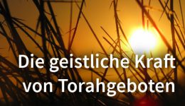 torahgebotegeistlich