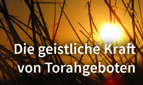 Die geistliche Kraft von Torahgeboten – Teil 1: Tzitzit