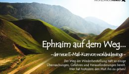 wegwiederherstellung