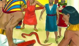 #14 Wa’era – „Und ich erschien“