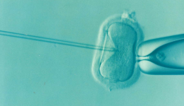 Erstes genmanipuliertes Baby geboren!