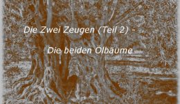 Die Zwei Zeugen (Teil 2) – Die beiden Ölbäume