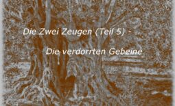 Die Zwei Zeugen (Teil 5) – Die verdorrten Gebeine