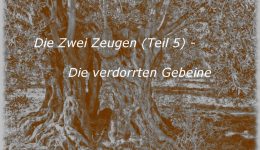 Die Zwei Zeugen (Teil 5) – Die verdorrten Gebeine