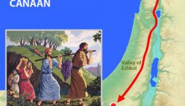 #37 Schelach – „Sende!“