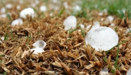 Hast du gesehen, wo der Hagel herkommt?