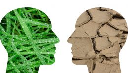 Der gesellschaftliche Klimawandel