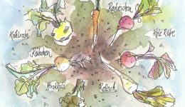 From Root to Leaf: Gemüse von Blatt bis Wurzel