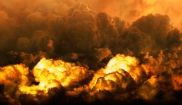 Von 11.000 toten Wasservögeln, Rauchwolken bei Tag in Sao Paulo und 72843 Waldbränden!