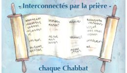 La vision – L’initiative « Torahhouse – Maison de la Torah »