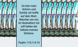 Tagesbotschaften