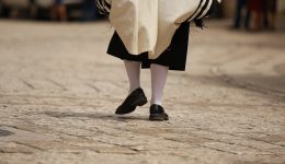 Das prophetische Bild der blutflüssigen Frau