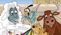 Rein und Unrein Übungsbuch für Anfänger