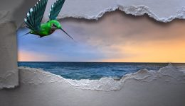 Elohim der Durchbrüche