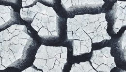 Eddie Chumney’s Gedanken zum Coronavirus vor einer Gebetsgruppe in den USA
