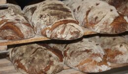 Der Mensch lebt nicht nur vom Brot allein, sondern von jedem Wort, das aus dem Munde Adonais kommt!“