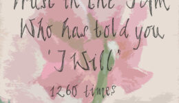 Bildmeditation: “Ich will” – 1260 Mal