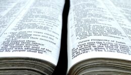 “Ihr seid schon rein um des Worten willen, das ich zu euch geredet habe.” (Joh. 15,3)